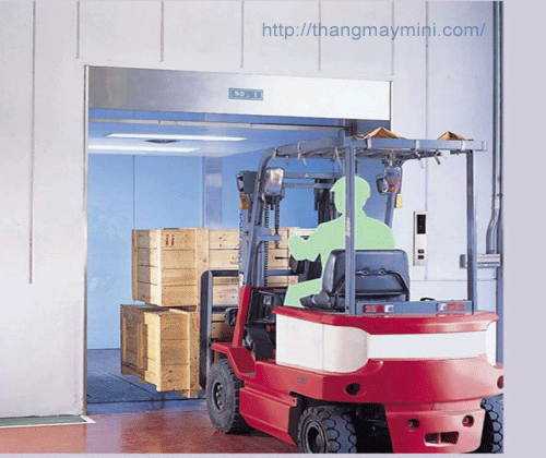 thang máy tải hàng hóa 1