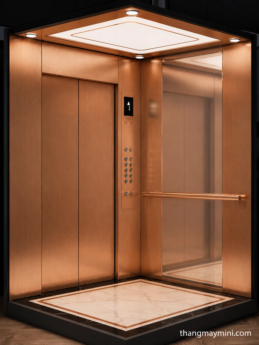 Cabin thang máy mini vân gỗ sang trọng