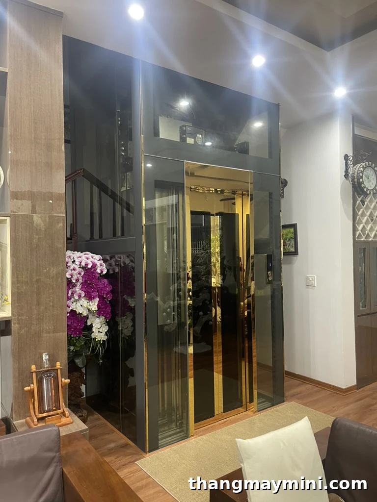 Thang Máy Gia Đình 2026: Hướng Dẫn Toàn Diện Từ A Đến Z 1 Cabin thang máy gia đình mạ vàng sang trọng